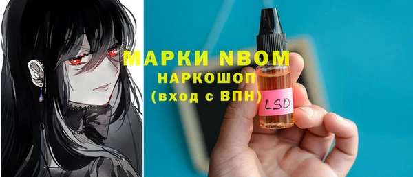 индика Балахна