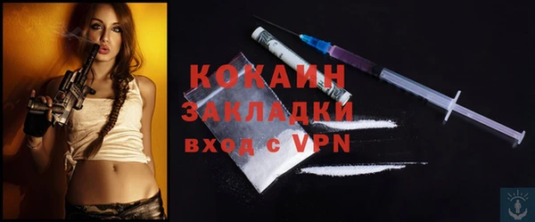 индика Балахна