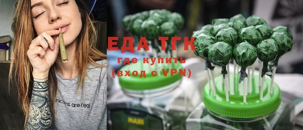индика Балахна